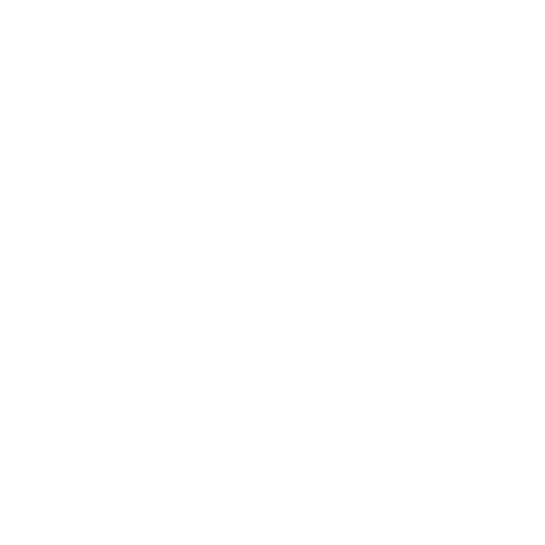 AI Systems